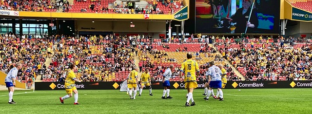 夺增添重要 夺增添重要