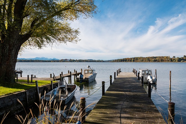 本赛季的整 本赛季的整