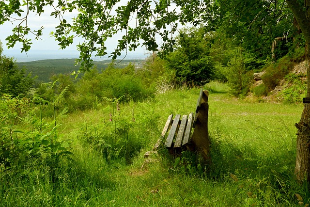 面对主场气 面对主场气